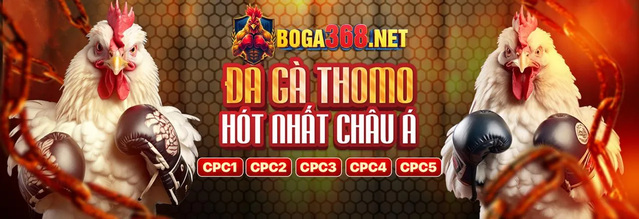 Liên hệ bộ phận hỗ trợ khách hàng 8kbet